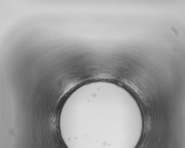 X0000115421258200912011239