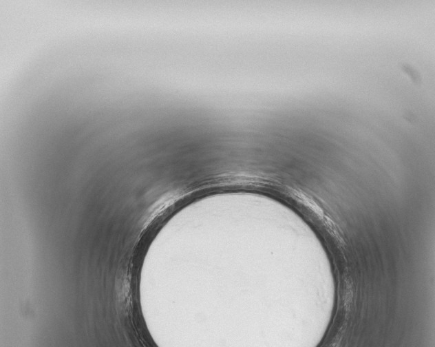 X0000115421259200912011239