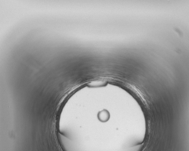 X0000115421260200912011239