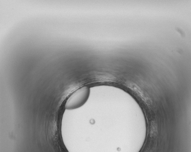 X0000115421261200912011239