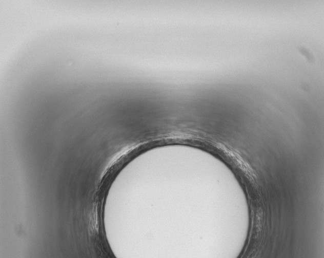 X0000115421262200912011239