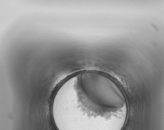 X0000115421263200912011239