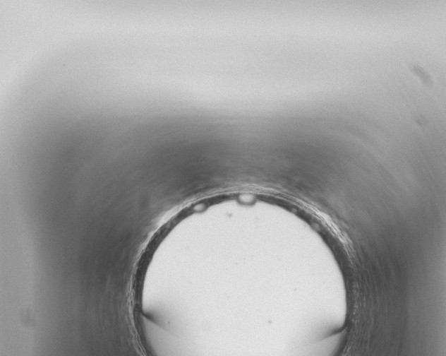 X0000115421264200912011239