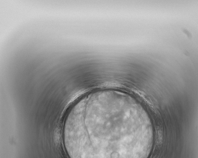 X0000115421266200912011239