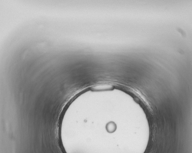 X0000115421268200912011239