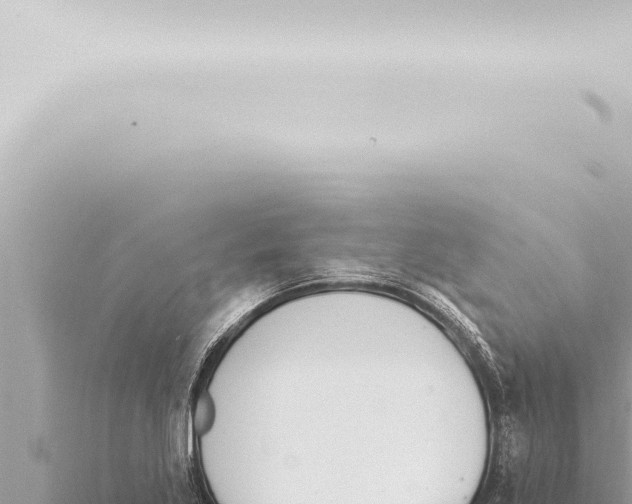 X0000115421269200912011239