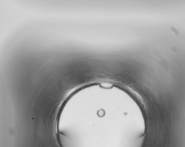 X0000115421272200912011239