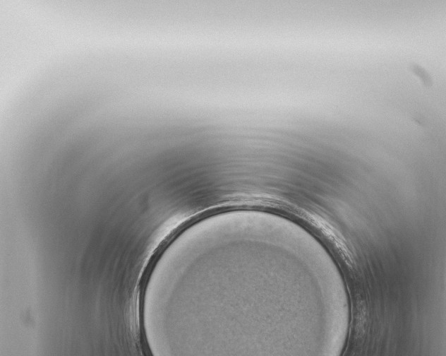 X0000115421275200912011239