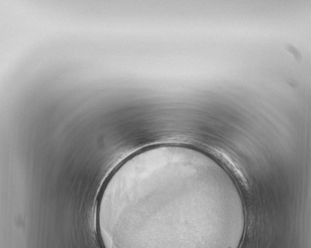 X0000115421276200912011239