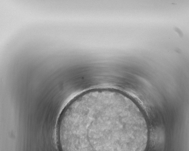 X0000115421278200912011238