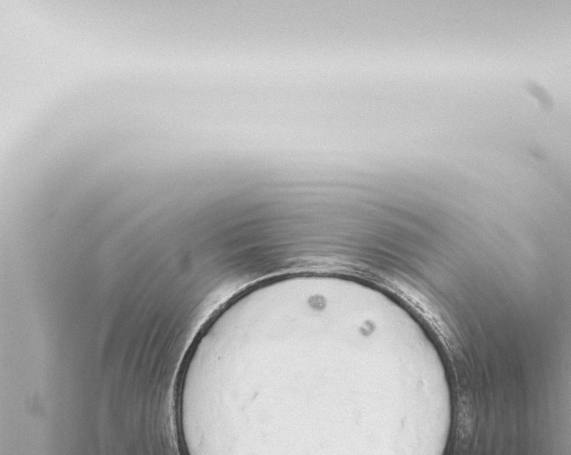 X0000115421283200912011238