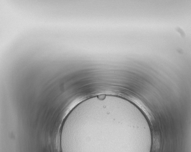 X0000115421290200912011238