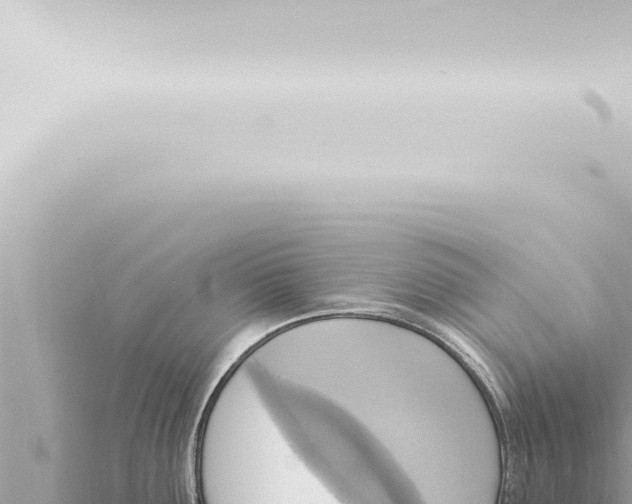 X0000115421291200912011238