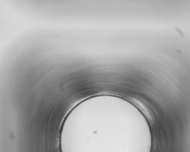 X0000115421292200912011238