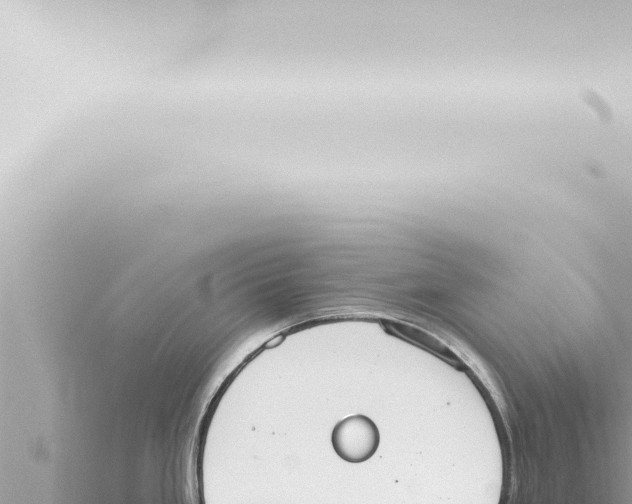 X0000115421293200912011238