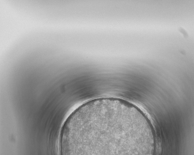 X0000115421294200912011238