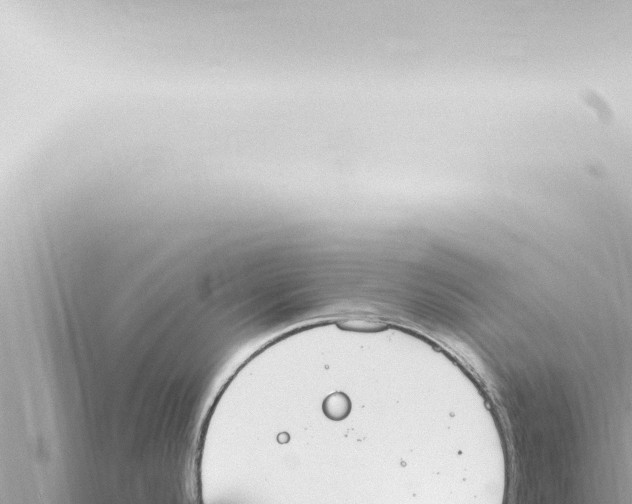 X0000115421296200912011238