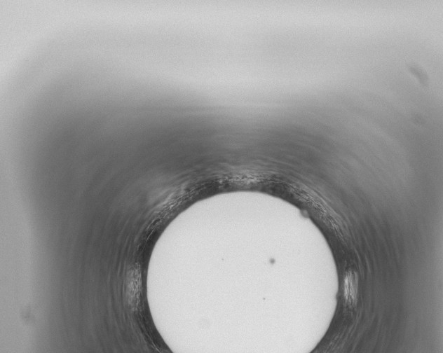 X0000115421299200912011238