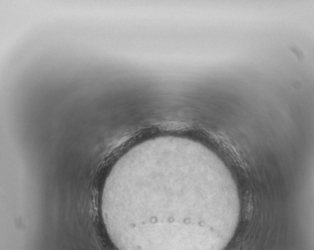 X0000115421301200912011238