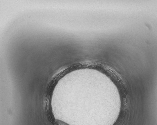 X0000115421302200912011238