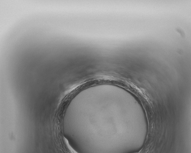 X0000115421303200912011238