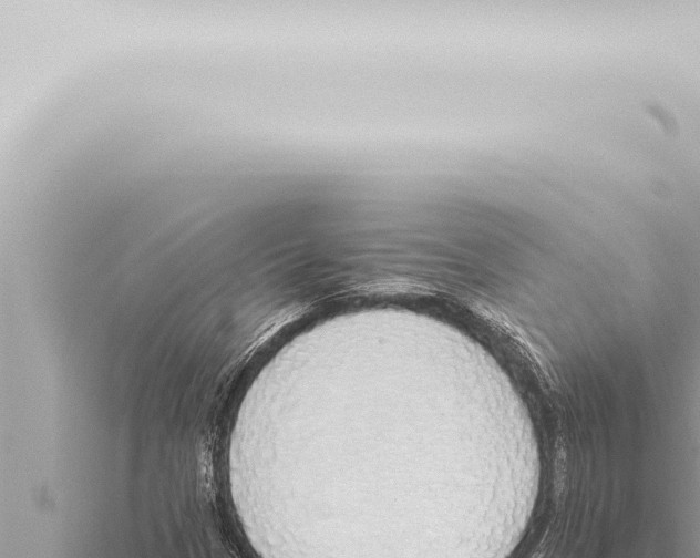 X0000115421305200912011238