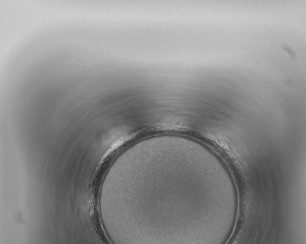 X0000115421306200912011238