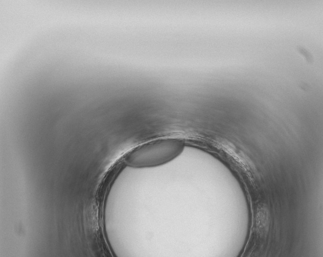 X0000115421310200912011238