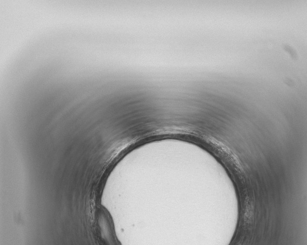 X0000115421313200912011238