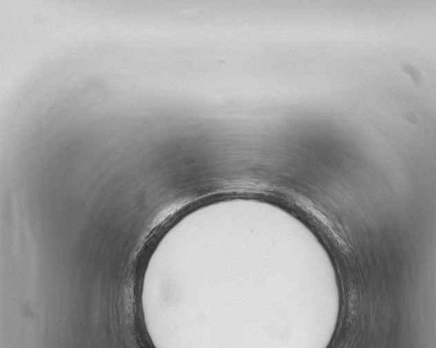 X0000115421315200912011238