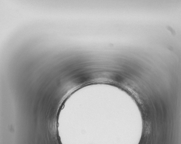 X0000115421322200912011238