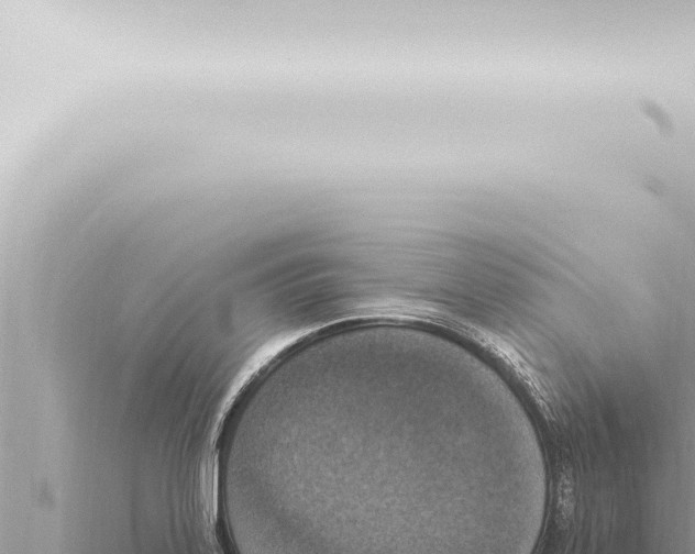 X0000115421323200912011238