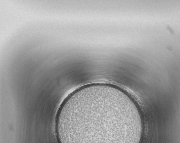 X0000115421326200912011238