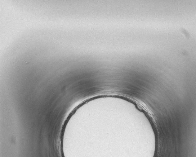 X0000115421334200912011238