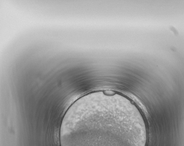 X0000115421337200912011238