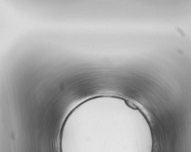 X0000115421343200912011238