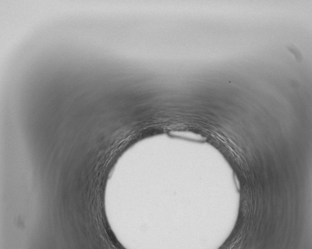 X0000115421345200912011238