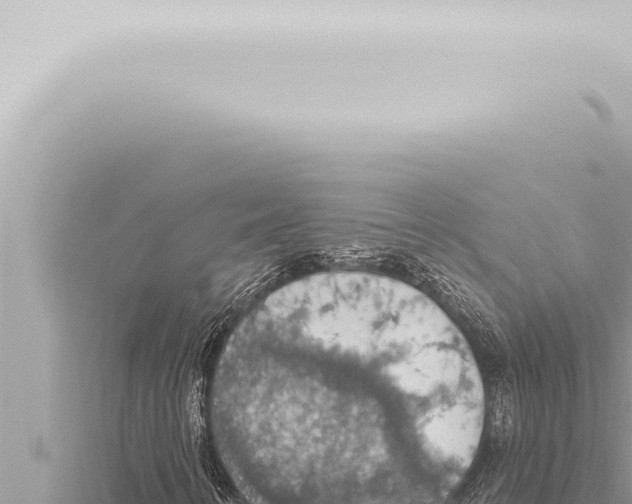 X0000115421346200912011238