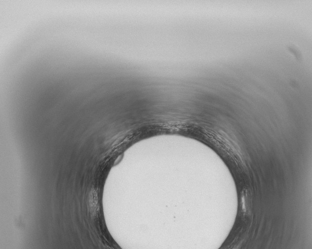 X0000115421347200912011238