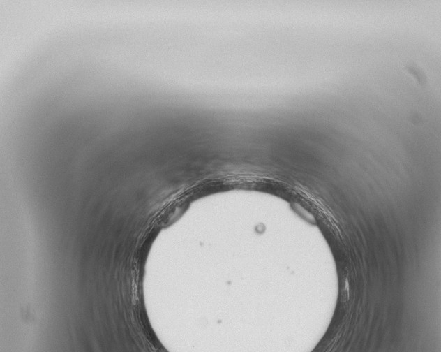 X0000115421348200912011238