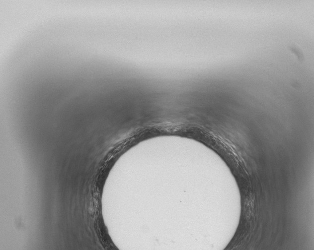 X0000115421349200912011238