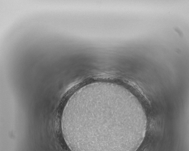 X0000115421350200912011238