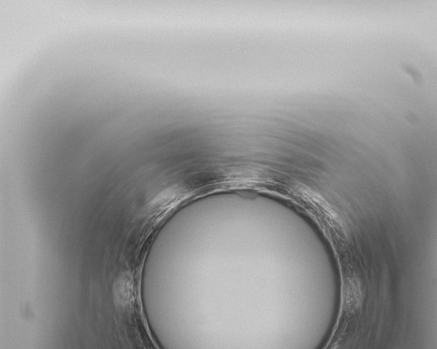 X0000115421353200912011237