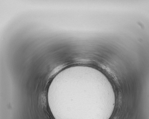 X0000115421354200912011237