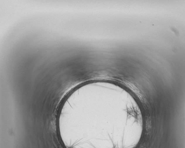 X0000115421356200912011237