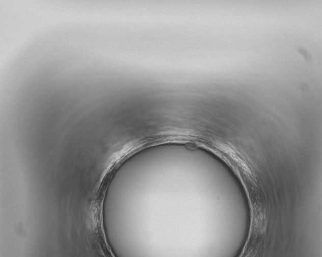 X0000115421357200912011237