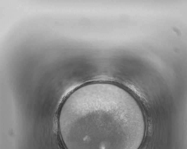 X0000115421358200912011237