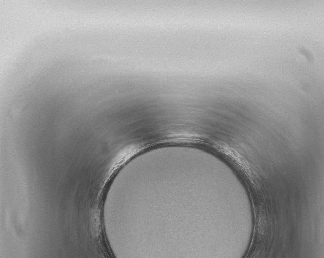 X0000115421362200912011237