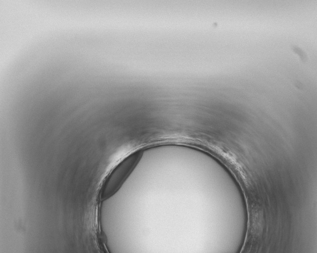 X0000115421365200912011237