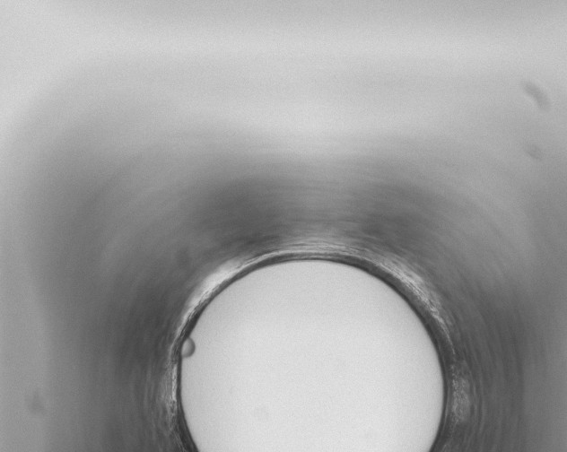 X0000115421366200912011237